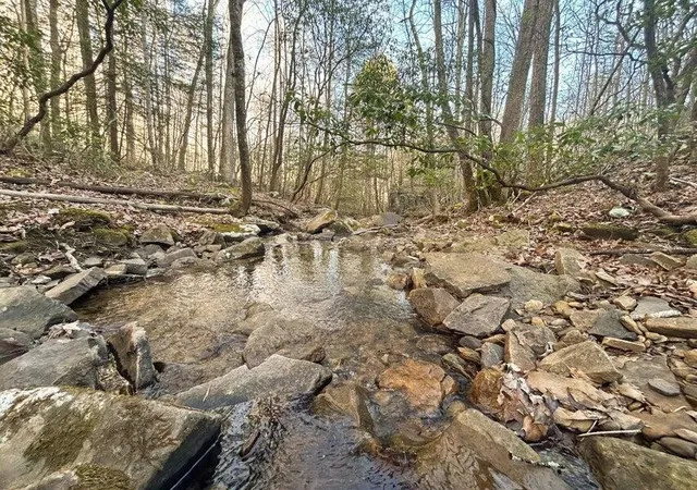 Photo 3 of Land for sale at 5 Deerhead Rd, Dunlap, TN 37327 | MLS# 3315509 | Listing updated on 2026-08-30