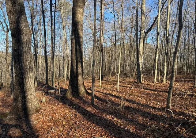 Photo 4 of Land for sale at 5 Deerhead Rd, Dunlap, TN 37327 | MLS# 3315509 | Listing updated on 2026-08-30