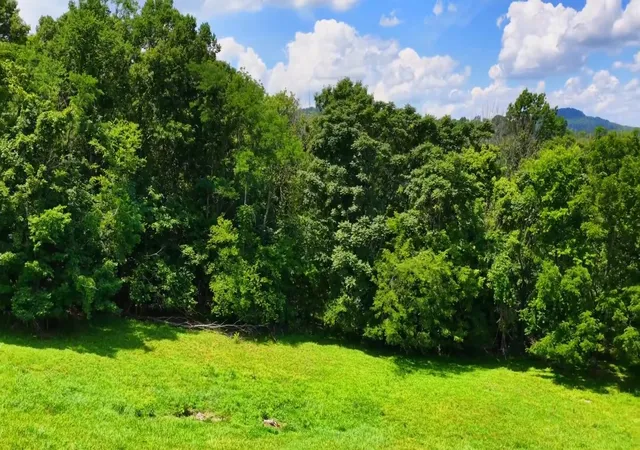 5th image of 2015 Artesian Dr, Nolensville, TN 37135 | MLS# 3214067