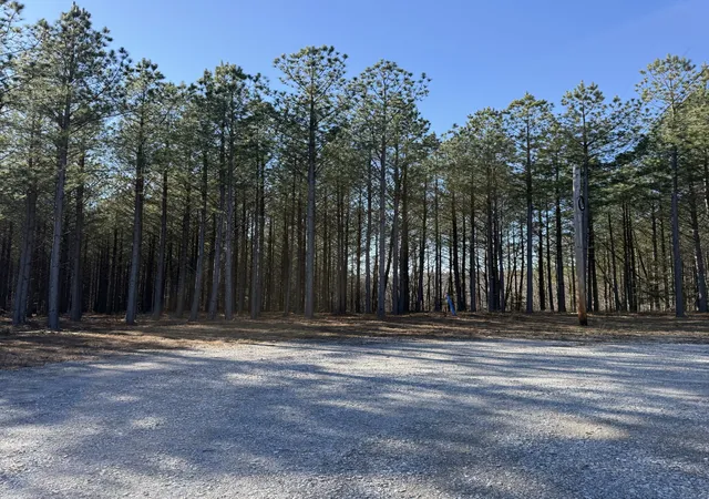 Photo 3 of Land for sale at 533 Ctr Ridge Dr, Linden, TN 37096 | MLS# 3112743 | Listing updated on 2026-08-17
