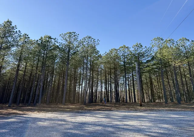 Photo 3 of Land for sale at 533 Ctr Ridge Dr, Linden, TN 37096 | MLS# 3112743 | Listing updated on 2026-08-17