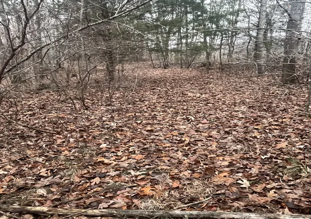 30th image of 0 Lawrenceburg Hwy, Lawrenceburg, TN 38464 | MLS# 3097986