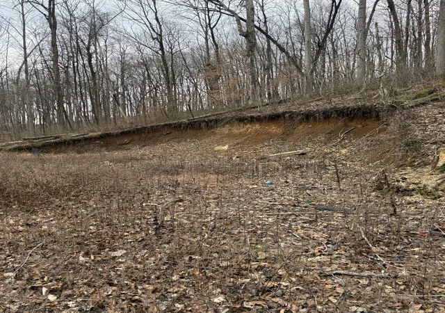 3rd image of 1843D Garrison Branch Rd, Cottontown, TN 37048 | MLS# 3098417