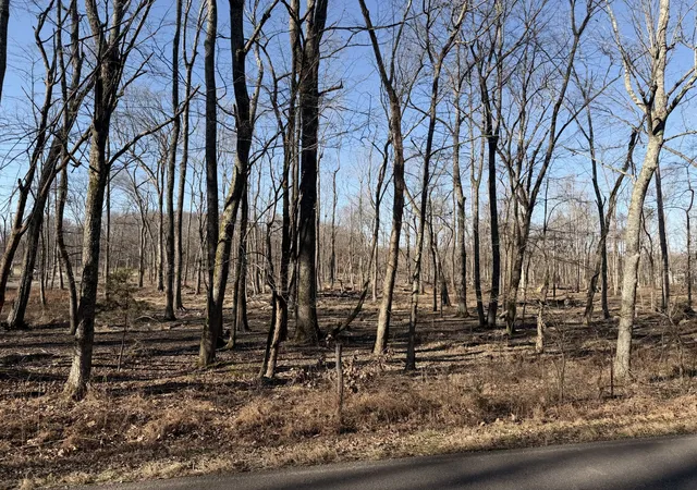 2nd image of 3972 Baggett Rd, Springfield, TN 37172 | MLS# 3098988
