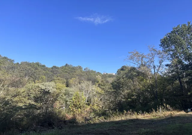 44th image of 340 Bailey Ln, Pulaski, TN 38478 | MLS# 3099081