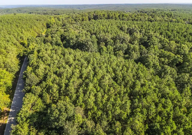 1st image of 0 Brush Creek Road, Hohenwald, TN 38462 | MLS# 3099077