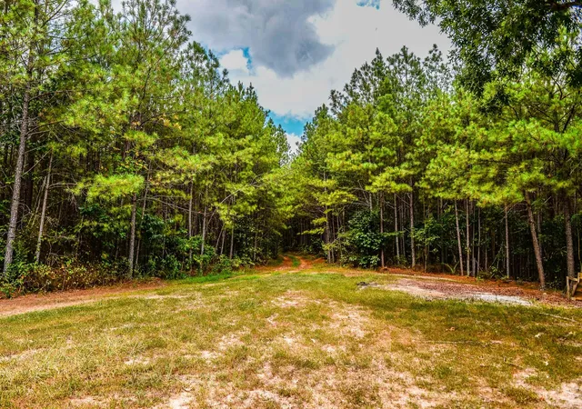 2nd image of 0 Brush Creek Road, Hohenwald, TN 38462 | MLS# 3099077
