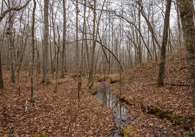 22nd image of 0 Brush Creek Road, Hohenwald, TN 38462 | MLS# 3099077
