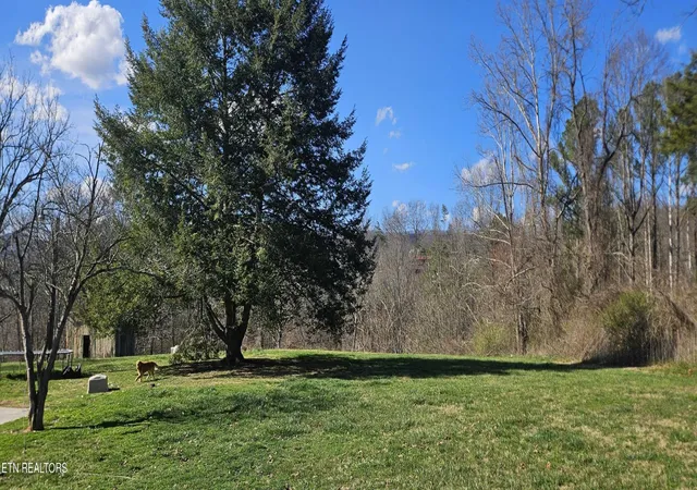 13th image of 181 Camp Ridge Rd, La Follette, TN 37766 | MLS# 3182999