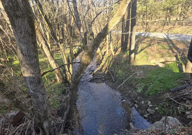 3rd image of 3680 Diana Ridge Rd, Pulaski, TN 38478 | MLS# 3099466