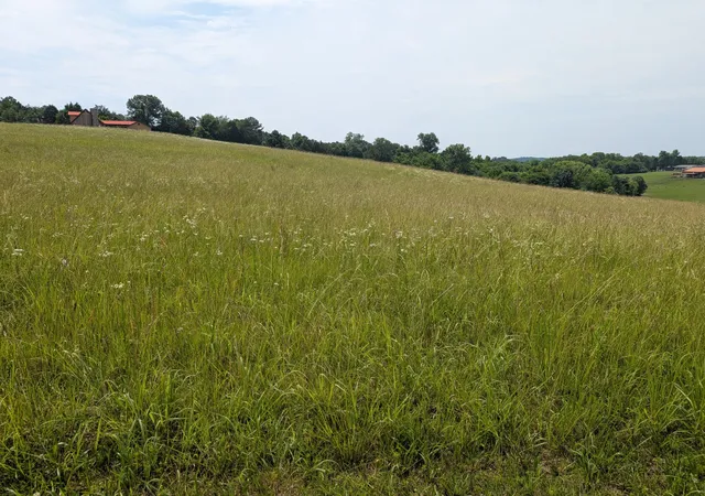 Homes for sale in Dayton, TN | 2 Riverbend Dr, Dayton, TN 37321 | MLS# 3213831