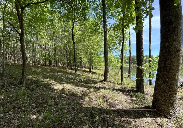 1st image of 290 Bear Trace Dr, Jasper, TN 37347 | MLS# 3110813
