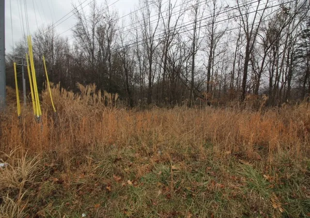 3rd image of 0 Paradise Hill Rd, Clarksville, TN 37040 | MLS# 3111883