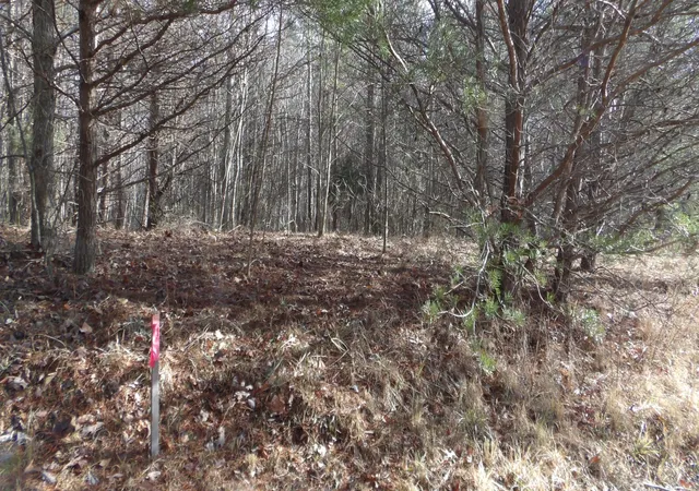 1st image of 0 Meadow Lane, Sparta, TN 38583 | MLS# 3112014