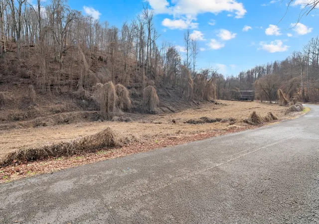 18th image of 0 Possum Trott Road, Shelbyville, TN 37160 | MLS# 3112057