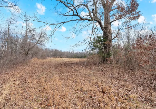 3rd image of 0 Possum Trott Road, Shelbyville, TN 37160 | MLS# 3112057
