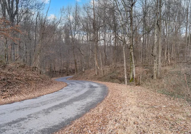 4th image of 0 Possum Trott Road, Shelbyville, TN 37160 | MLS# 3112057