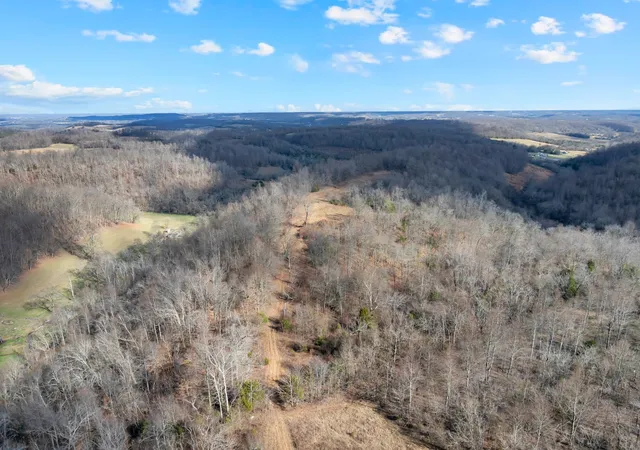 5th image of 0 Possum Trott Road, Shelbyville, TN 37160 | MLS# 3112057