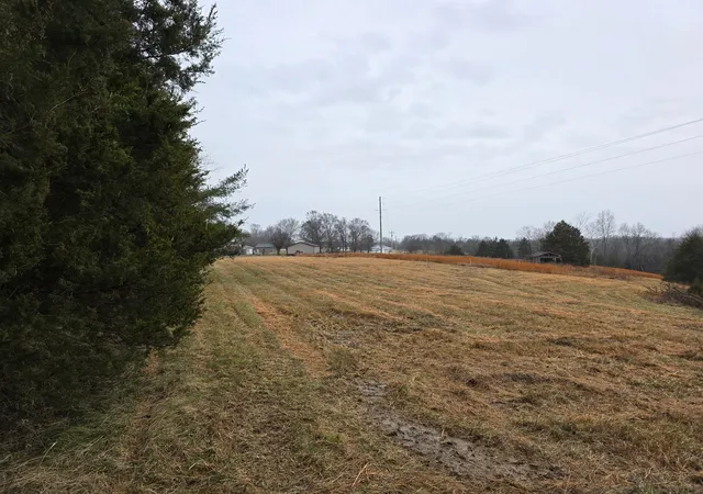 3rd image of 0 Scottsville Rd, Lafayette, TN 37083 | MLS# 3112059