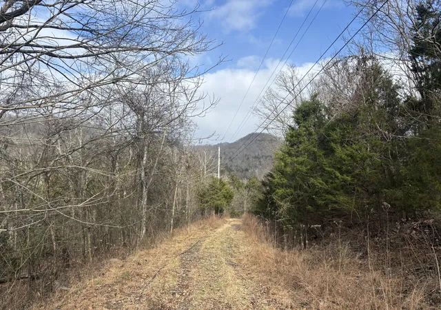 2nd image of 1 Lick Creek Rd, Hartsville, TN 37074 | MLS# 3112136