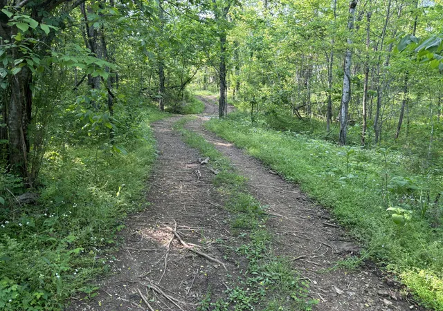 3rd image of 1 Lick Creek Rd, Hartsville, TN 37074 | MLS# 3112136