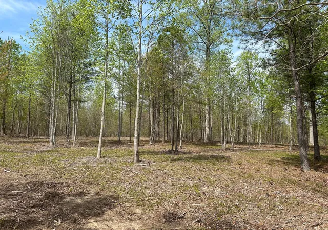 Photo 3 of Land for sale at 6390 Raulston Fls Rd, Jasper, TN 37347 | MLS# 3112287 | Listing updated on 2026-01-22