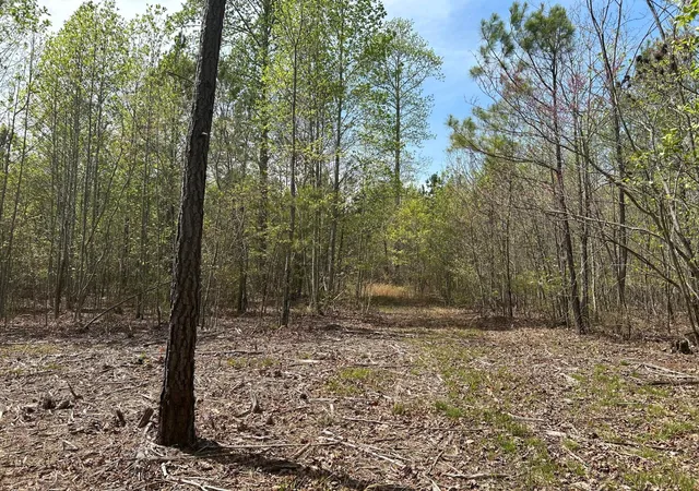 Photo 3 of Land for sale at 6390 Raulston Fls Rd, Jasper, TN 37347 | MLS# 3112287 | Listing updated on 2026-01-22
