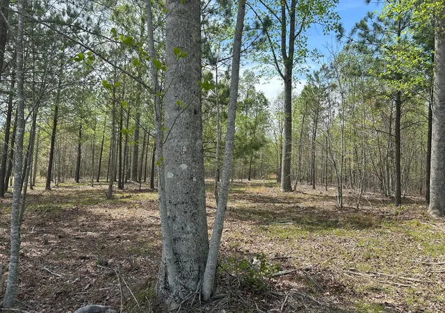 Photo 4 of Land for sale at 6390 Raulston Fls Rd, Jasper, TN 37347 | MLS# 3112287 | Listing updated on 2026-01-22
