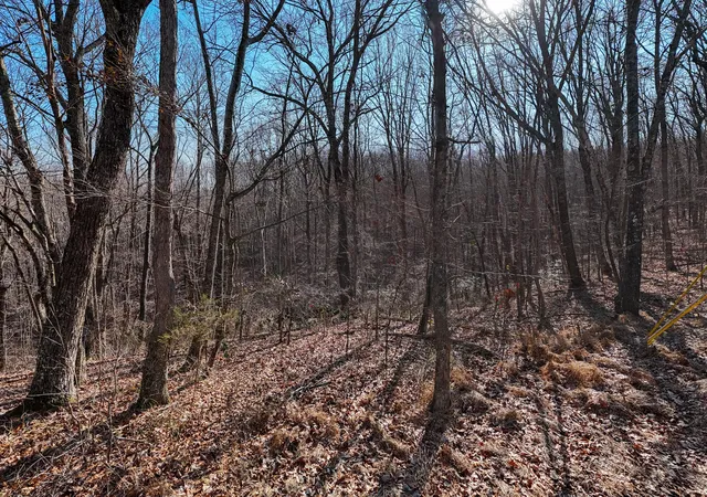 4th image of 0 Greenwood Dr, Pikeville, TN 37367 | MLS# 3112398