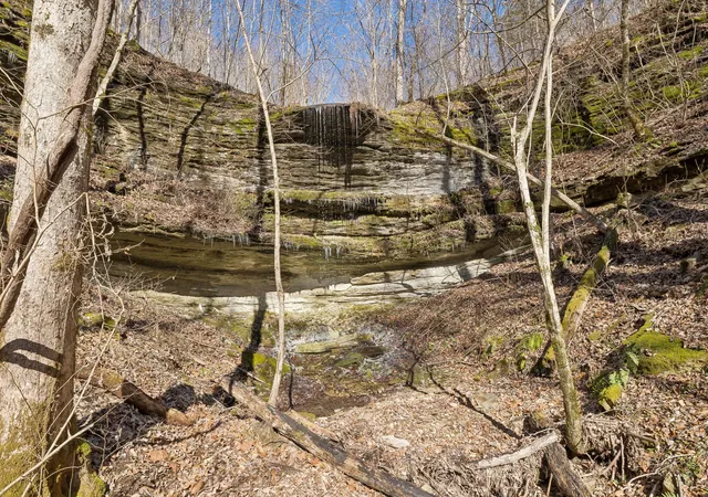 1st image of 0 Hurricane Creek Road, Linden, TN 37096 | MLS# 3112632