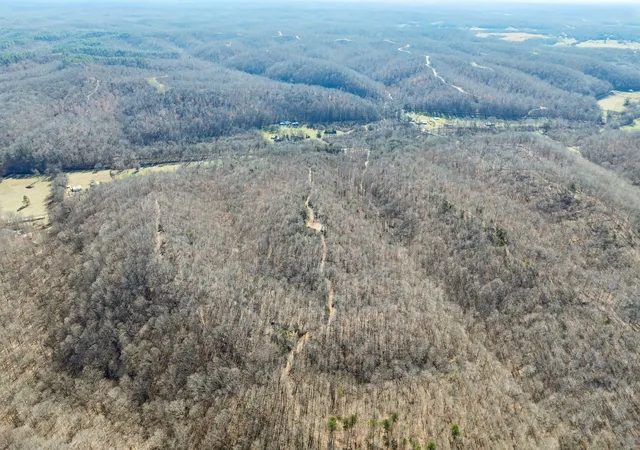 44th image of 0 Hurricane Creek Road, Linden, TN 37096 | MLS# 3112632