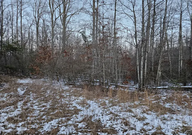 Photo 3 of Land for sale at 1234 Rodgers Rd, Crossville, TN 38572 | MLS# 3117164 | Listing updated on 2026-07-10