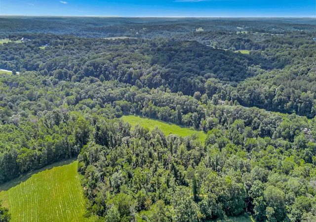 Homes for sale in Burns, TN | 0 Camp Ravine Road, Burns, TN 37029 | MLS# 3123340