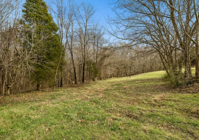 50th image of 2717 Longstreet Ave, Pleasant View, TN 37146 | MLS# 3116189