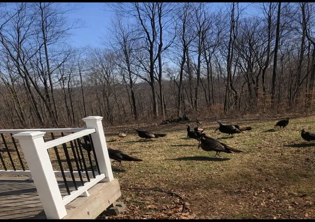 4th image of 351 Rippy Ridge Rd, Normandy, TN 37360 | MLS# 3121595