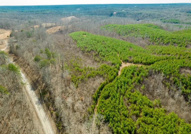 Homes for sale in Iron City, TN | 0 State Line Road, Iron City, TN 38463 | MLS# 3116239