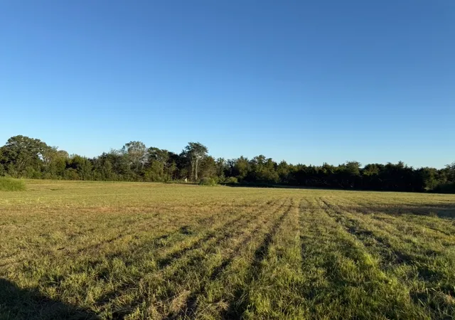 2nd image of 0 Minkslide Rd, Bell Buckle, TN 37020 | MLS# 3119010