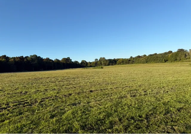 3rd image of 0 Minkslide Rd, Bell Buckle, TN 37020 | MLS# 3119010