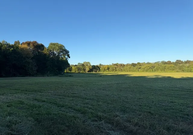4th image of 0 Minkslide Rd, Bell Buckle, TN 37020 | MLS# 3119010