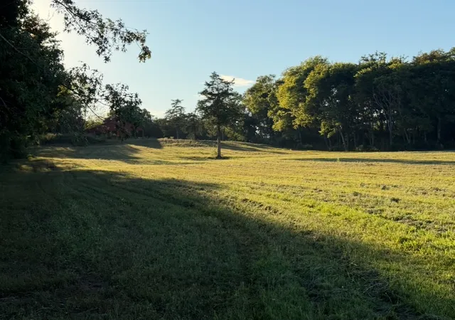 6th image of 0 Minkslide Rd, Bell Buckle, TN 37020 | MLS# 3119010
