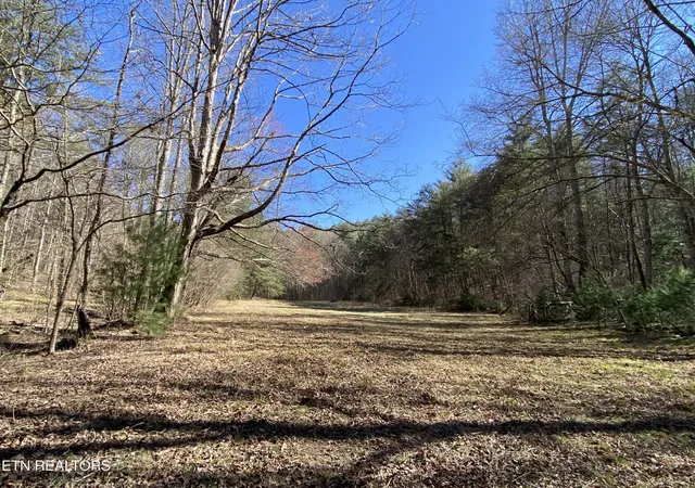42nd image of 188 Dalton Branch Rd, Tellico Plains, TN 37385 | MLS# 3228490