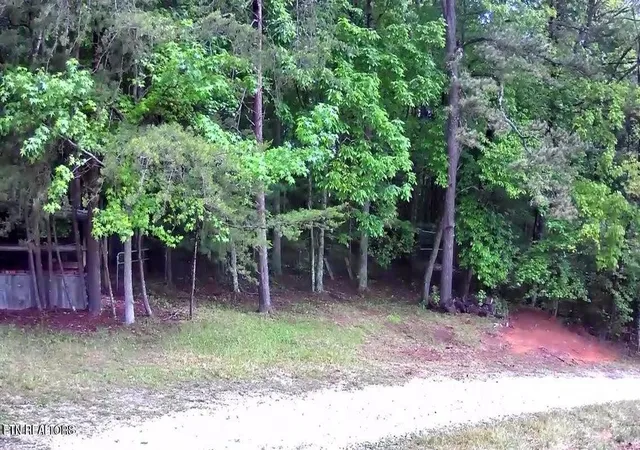 5th image of 188 Dalton Branch Rd, Tellico Plains, TN 37385 | MLS# 3228490