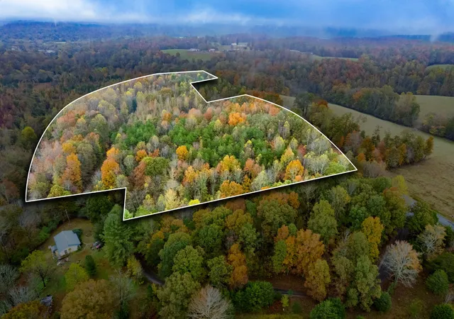 5th image of 0 Ducktown Road, Iron City, TN 38463 | MLS# 3117220