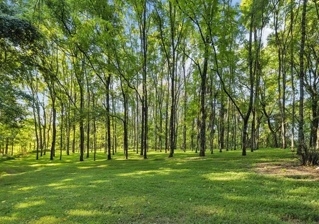 2nd image of 6633 Pinkston Rd, College Grove, TN 37046 | MLS# 3163654