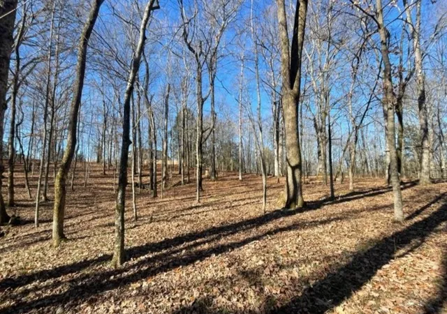 Photo 3 of Land for sale at 1875 Bakers Grv Rd, Hermitage, TN 37076 | MLS# 3154678 | Listing updated on 2026-06-29