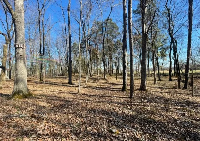 Photo 4 of Land for sale at 1875 Bakers Grv Rd, Hermitage, TN 37076 | MLS# 3154678 | Listing updated on 2026-06-29