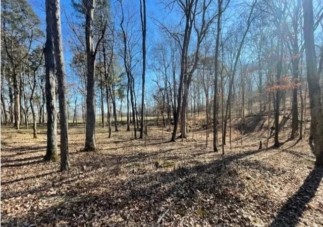 Photo 7 of Land for sale at 1875 Bakers Grv Rd, Hermitage, TN 37076 | MLS# 3154678 | Listing updated on 2026-06-29