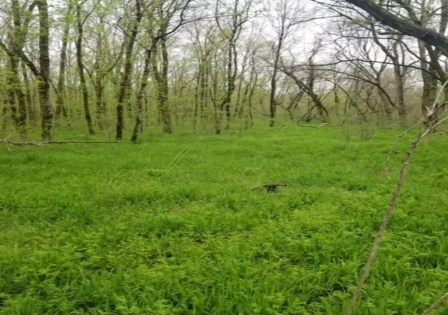 Photo 2 of Land for sale at 683 Highway 79, Dover, TN 37058 | MLS# 3118242 | Listing updated on 2026-01-30