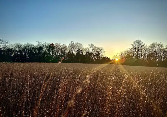 Photo 1 of Land for sale at 0 Owl Holw Rd, Franklin, TN 37064 | MLS# 3137884 | Listing updated on 2026-05-30