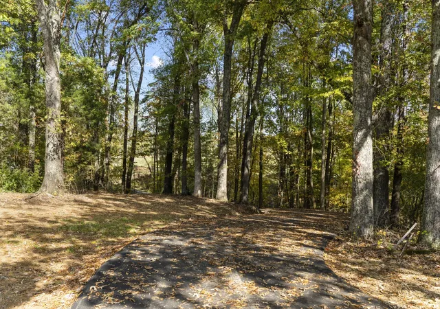 57th image of 2969 Lights Chapel Road, Greenbrier, TN 37073 | MLS# 3119284